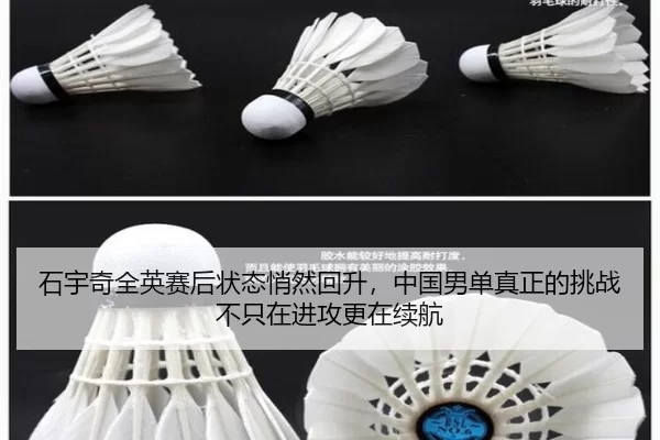 shi-yu-qi-quan-ying-sai-hou-zhuang-tai-qiao-ran-hui-sheng-zhong-guo-nan-dan-zhen-zheng-de-tiao-zhan-bu-zhi-zai-jin-gong-3-373.jpg